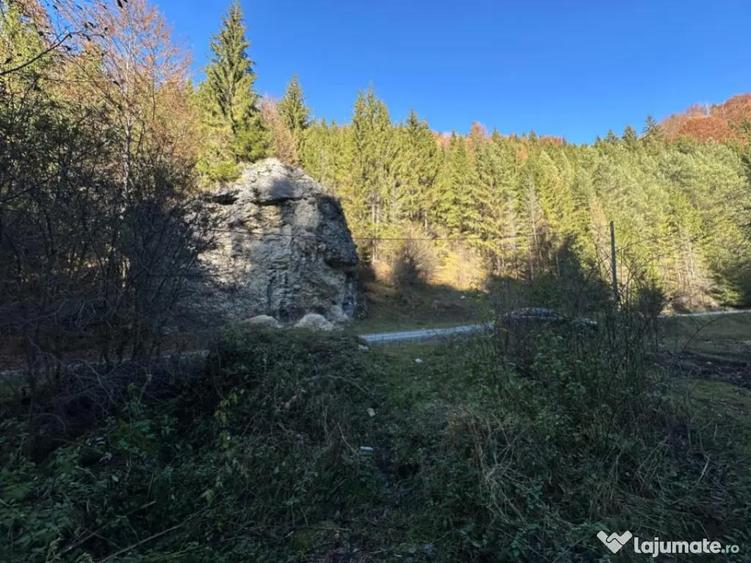 Teren 2.882 mp oportunitate investitie - Cheile Dambovi - 1