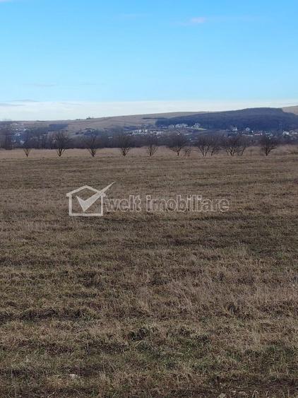 Teren de vanzare in Jucu de Mijloc - 2