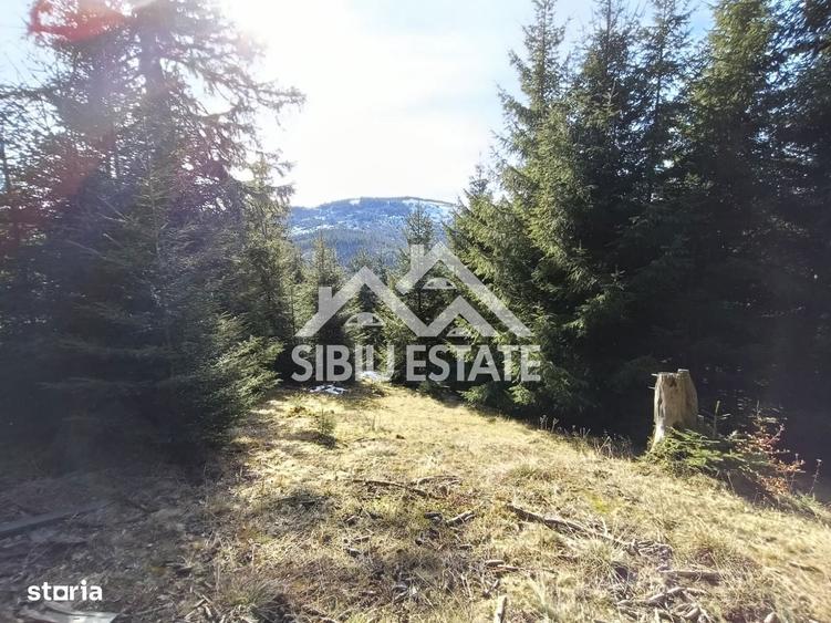 Teren de vanzare in zona montana a judetului Alba - 1