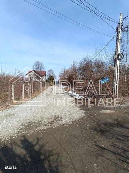 Teren 25.500 mp Valea Avrigului - 2