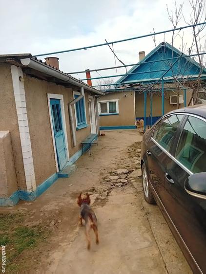 casa si teren de vanzare - 1