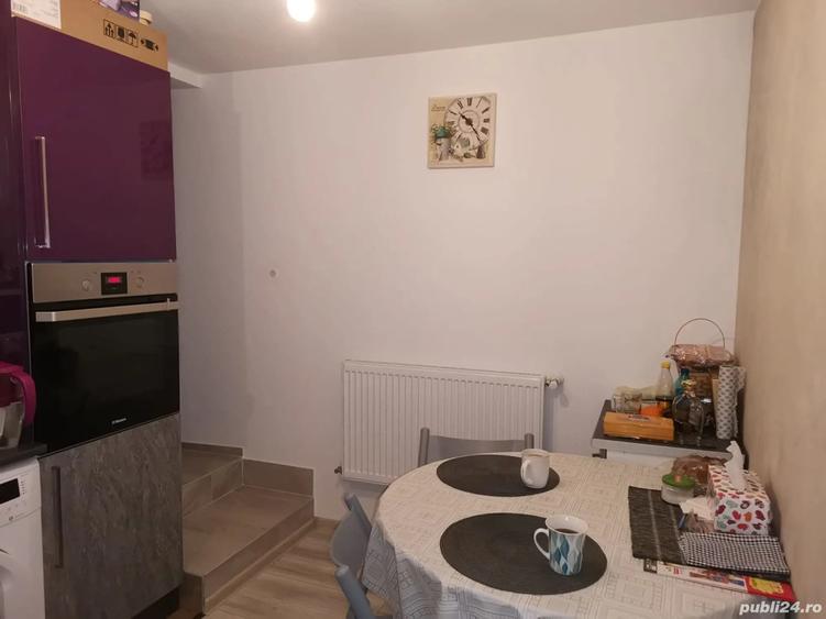 Vand casa la munte in Campulung Moldovenesc - 4