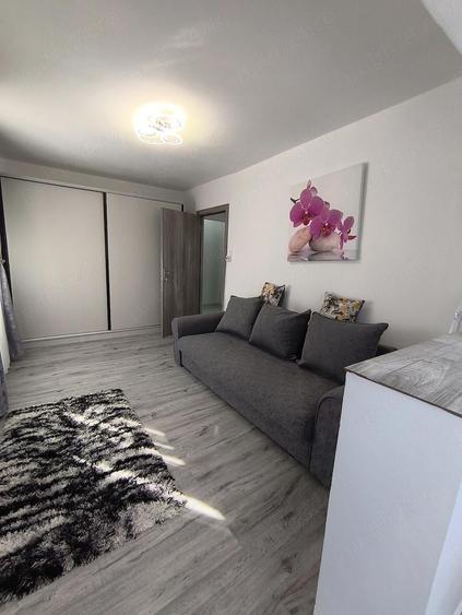 Ofer spre inchiriere garsoniera Mioveni, etajul 1, renovata total - 1