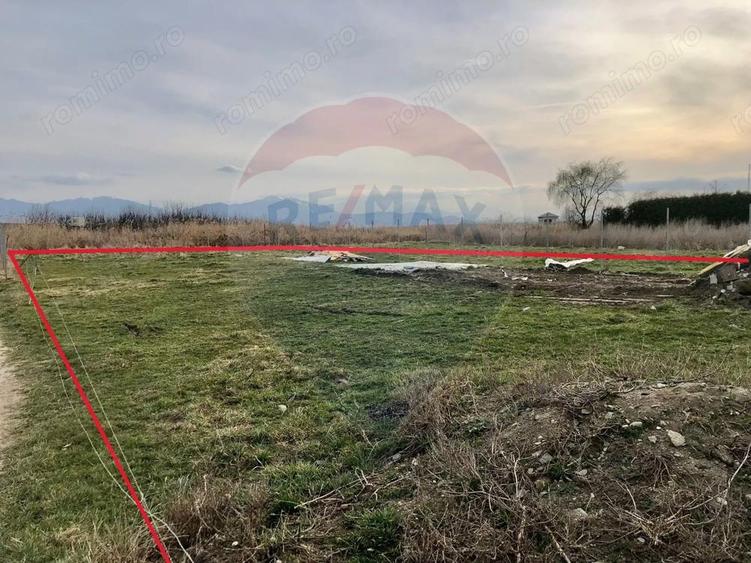 COMISION 0%| Teren 700mp | Intravilan | BOD - 6