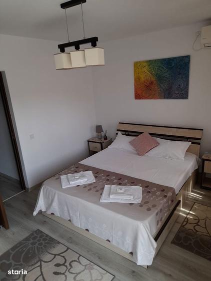 Vila 8 camere-De inchiriat in regim hoteier - 8