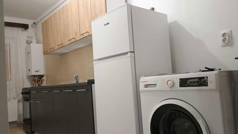 Inchiriez garsoniera - Vasile Aaron - 3