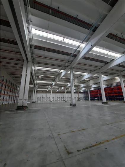 Spatii Industriale - 10000 mp - Logistica - Productie - Depozitare - Distributie - 15