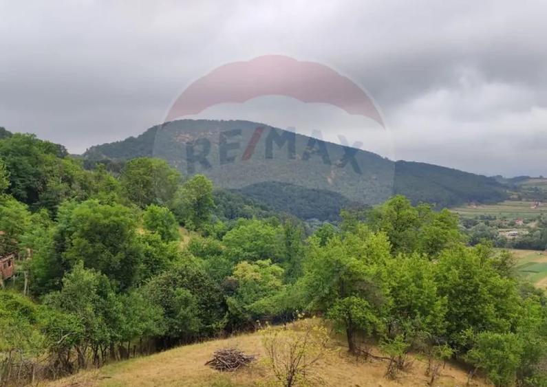 Casa de vacanta cu 6 camere de vanzare Suncuius - 7