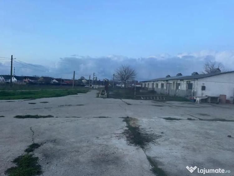 Teren intravilan industrial - 15