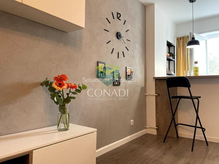 Garsoniera renovata modern str Nada Florilor - Teiul Domnei