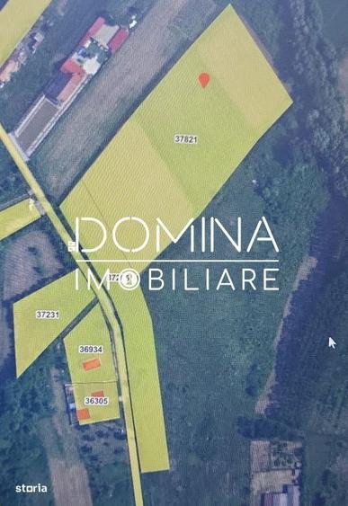 Teren intravilan 20.386 mp in Calnictraversat de rau, 19 km de Tg J - 8