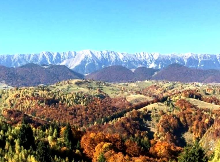 Oportunitate rară! Teren 7.283 mp, investitie garantată - 12