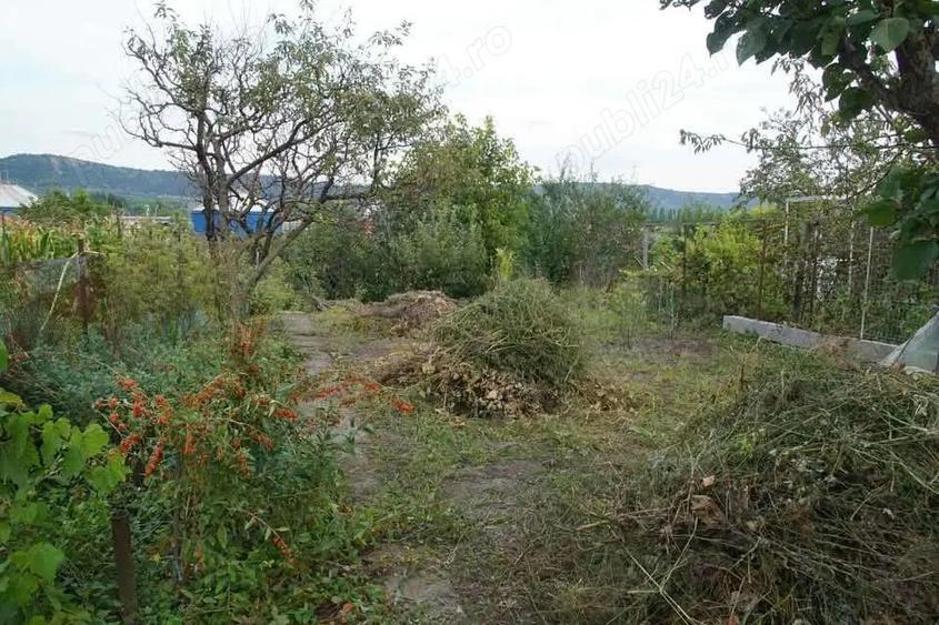 Vand casa cu 3 camere ?i dependin?e in Campia Turzii- Sancrai - 8