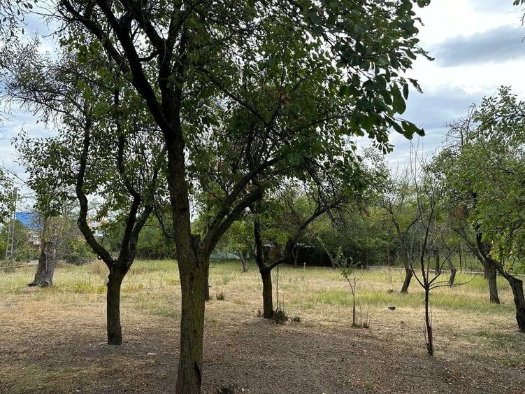 Teren Construcții intravilan de 2645 mp, în Ștefănești