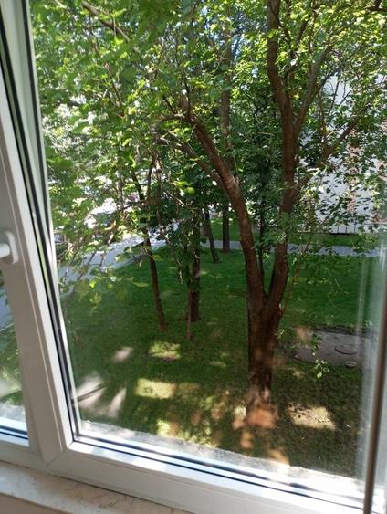 Apartament cu 2 camere în Alexandru cel Bun