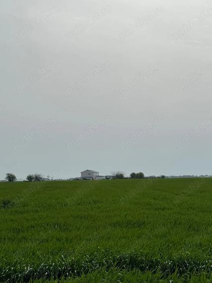 Teren de 20000 mp, în Vârteju