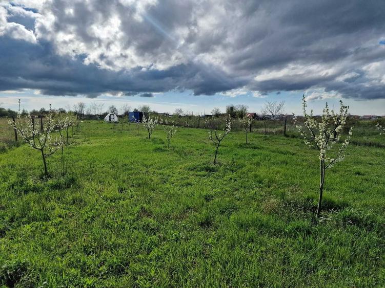 Vand teren extravilan Urseni 2163mp - 3