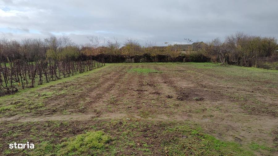 Casa cu 2 corpuri si teren de 1500 mp in sat Basarabi, Dolj - 1