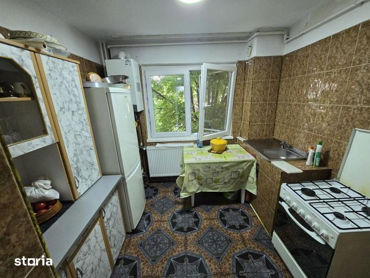 Apartament 2 camere Banat, confort 1, etaj 1, zona lic. Barbu - 4