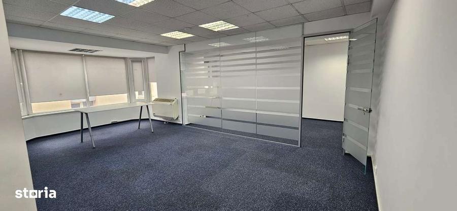 Calea Floreasca - Ceaikovski - 7