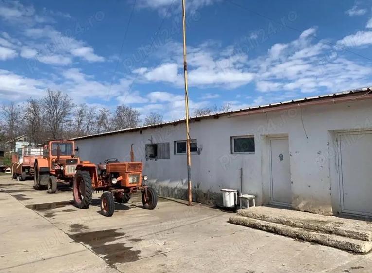 Hala de inchiriat - 3