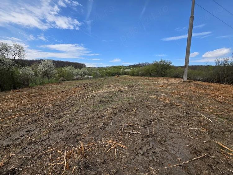 De vanzare teren intravilan 6704 mp Barsau, jud. Hunedoara - 11