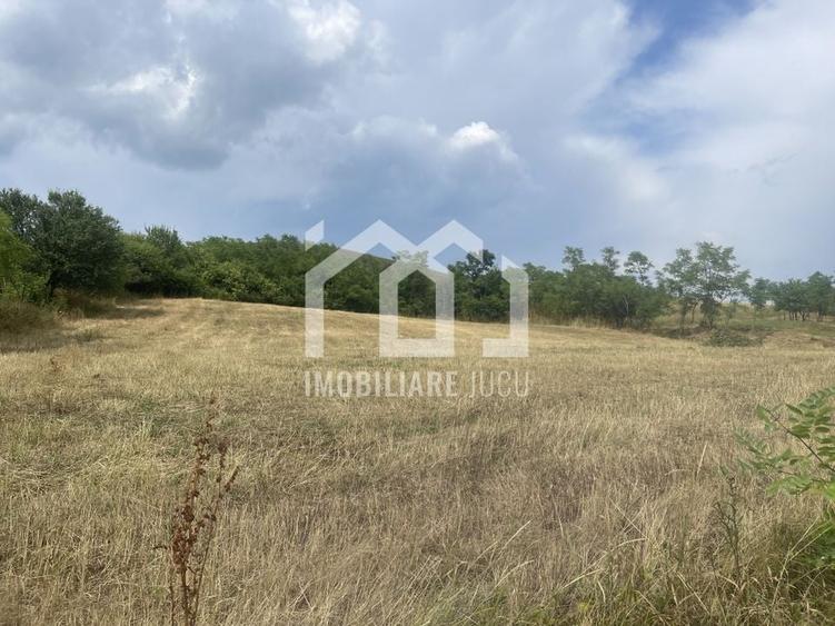 Teren Intravilan Constructrii 2258mp - Gadalin - 3