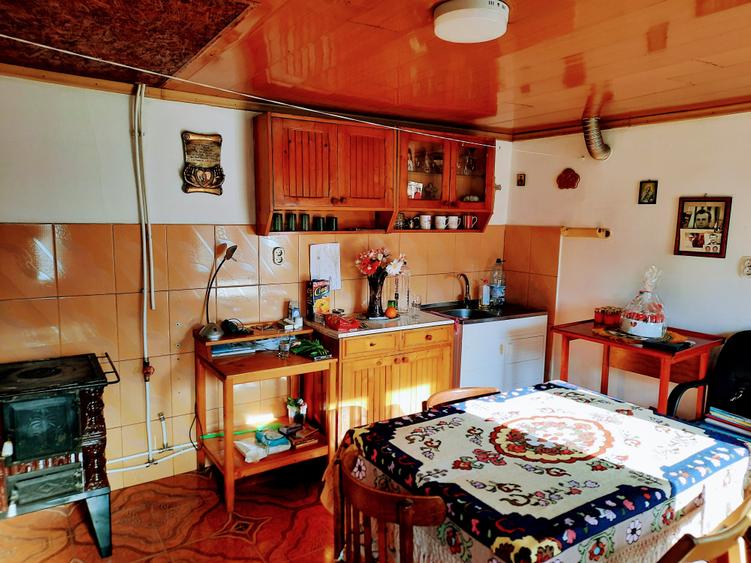 Ilia, proprietate deosebita - 14