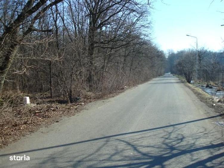 Teren Dragomiresti Vale direct proprietar 4 350 mp - 2