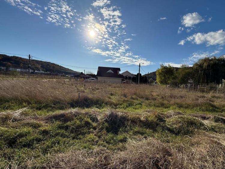 Teren intravilan 600 MP zona  Benta - 2