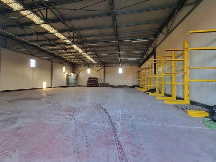 Hala 600 MP- Teren 15000-Otopeni-Centura Bucuresti - 8