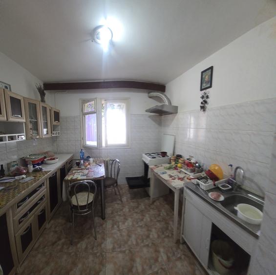 Colentina - Teiul Doamnei - 6