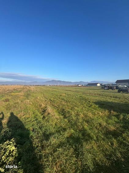 Teren de vanzare Mocira, jud. Maramures 18 ari - 2