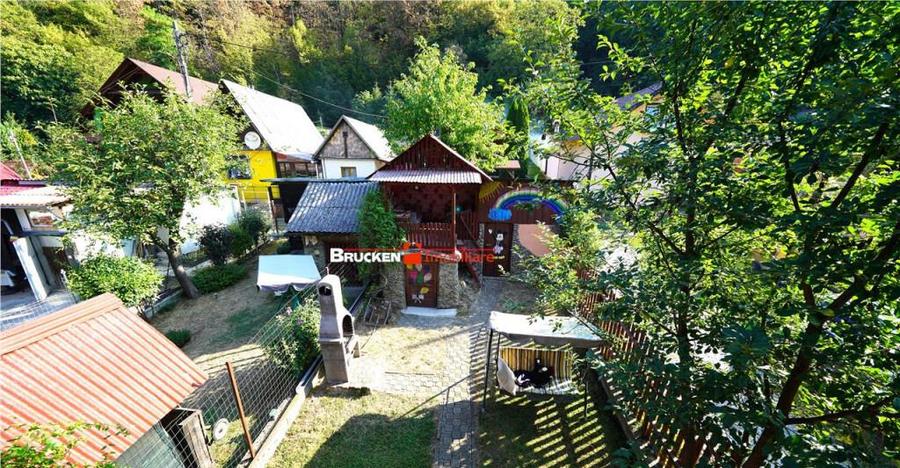 LOCUINTA TA DE VIS IN PADUREA NEAGRA - 12