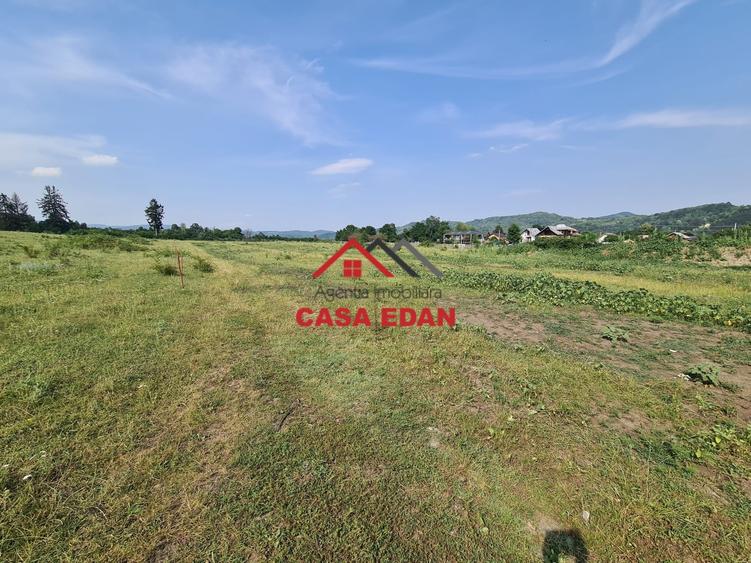 Teren Construcții intravilan de 7500 mp, în Câmpina