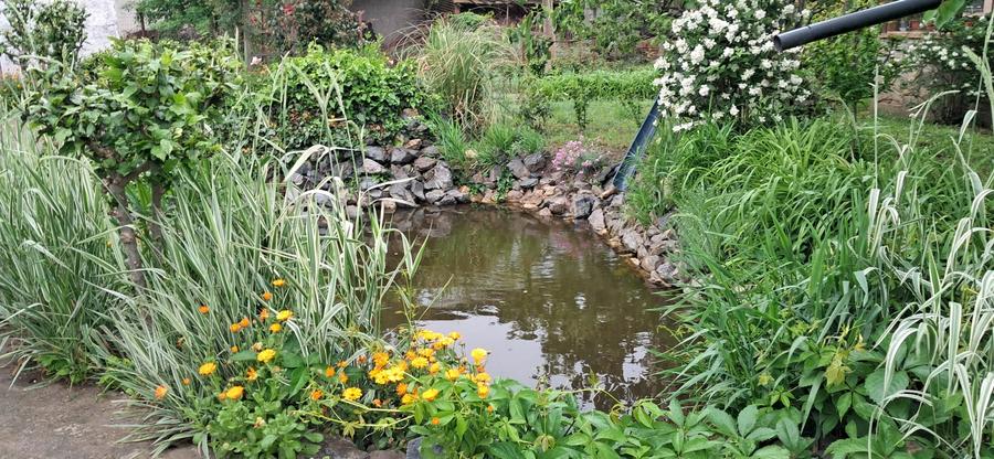 Lumina-teren 4297mp cu deschidere la DN - 2