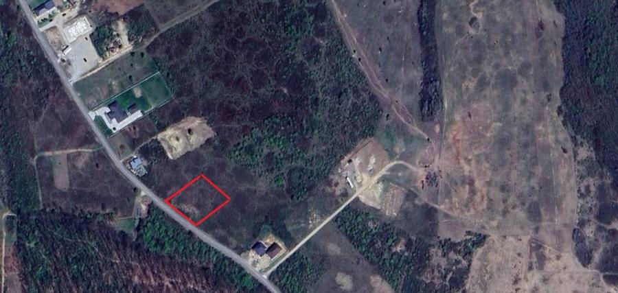 Teren de vanzare in Paleu - Saldabagiu la asfalt, gaze si electricitate - 3