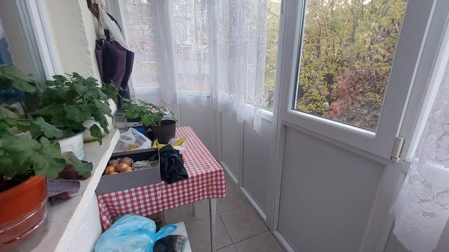 Vand garsoniera etj 1 zona Micalaca - 9