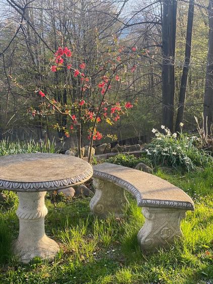 Proprietate Breaza de vis , zona de vis , prezentarea agentului , de vis - 34