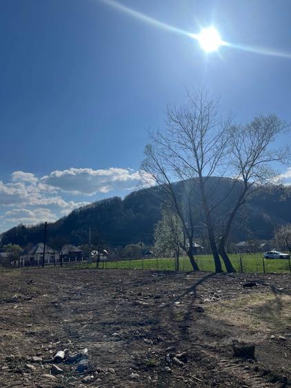 Teren intravilan 7 ari Viseu de Jos cu facilitati ideal pentru constructie casa. - 3