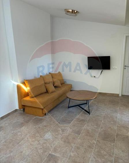 Apartament 2 camere cu terasa Gara de nord - 14