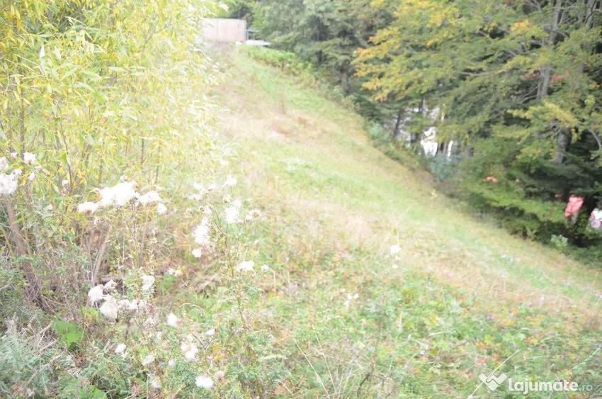 Busteni-Teren de vanzare cu o panorama superba - 3