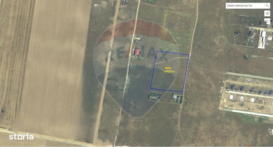 Teren 10,000mp Carcea / Strada Industriilor - 3