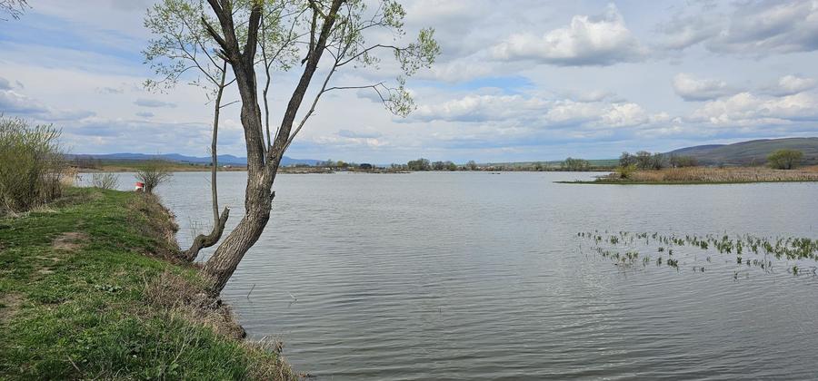 Teren Rotbav  str. Ștefan cel Mare – 3668 mp, intravilan cu deschidere la lac. - 3