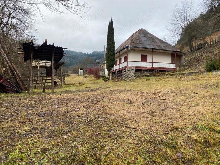 Teren vanzare negociabil - 4