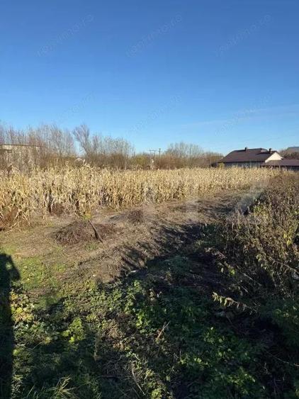 Casa batraneasca, 50 mp si teren intravilan 4900 mp, Udesti - 4