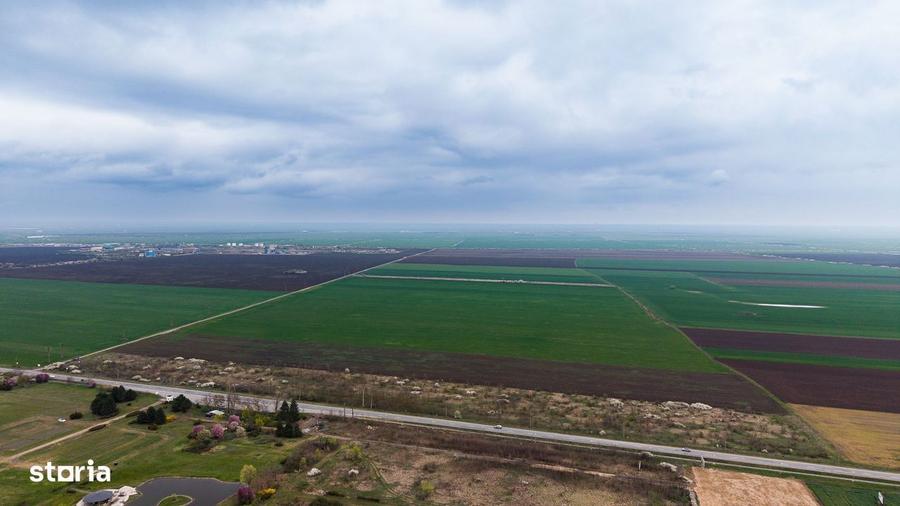 Teren de 41800 mp iesire Vladimirescu - 6