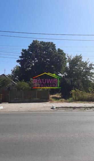 Snagov-Ghermanesti-Teren 2000 mp la sosea - 55 euro/mp - 1