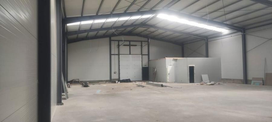 2 hale noi 2025 Afumati- Moara Domneasca - 3