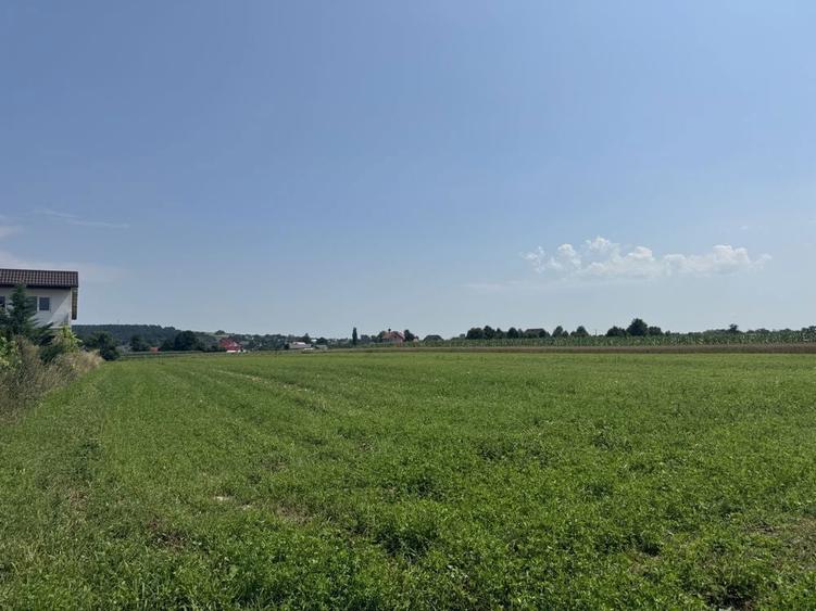 Teren intravilan de vanzare 90 ari Comuna Horonic de sus - 6